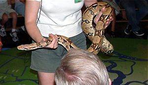 Educational Programs